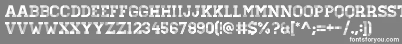 フォントHomesteadDisplay – 灰色の背景に白い文字