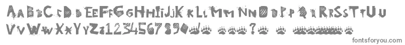 GoWild Font – Gray Fonts on White Background