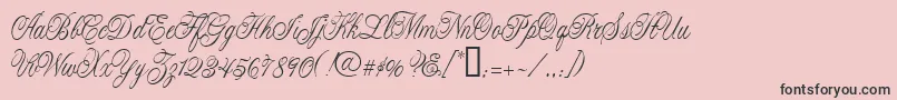 CacLaskoCondensed Font – Black Fonts on Pink Background