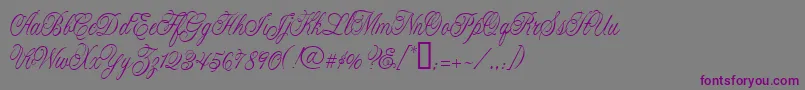 CacLaskoCondensed Font – Purple Fonts on Gray Background