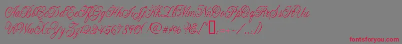 フォントCacLaskoCondensed – 赤い文字の灰色の背景
