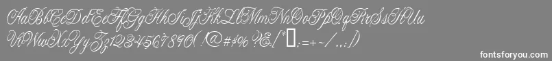 CacLaskoCondensed Font – White Fonts on Gray Background