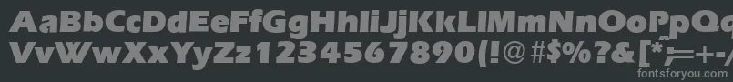 フォントE820SansUltraRegular – 黒い背景に灰色の文字