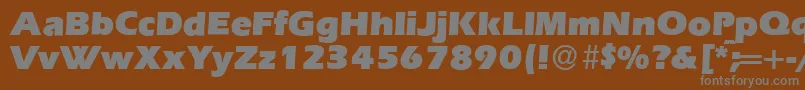 E820SansUltraRegular-fontti – harmaat kirjasimet ruskealla taustalla