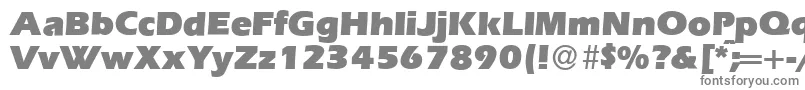 Czcionka E820SansUltraRegular – szare czcionki na białym tle