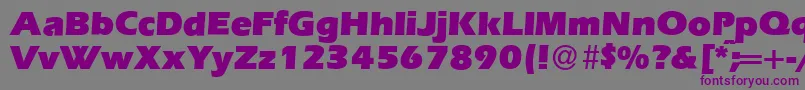 フォントE820SansUltraRegular – 紫色のフォント、灰色の背景