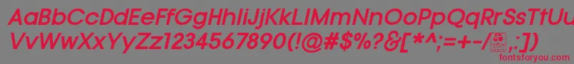 TypoGotikaBoldItalicDemo Font – Red Fonts on Gray Background