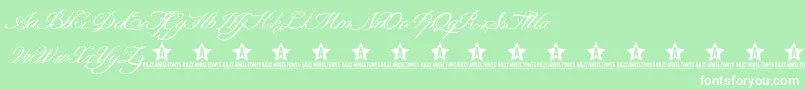 ShitHappensTrialD Font – White Fonts on Green Background