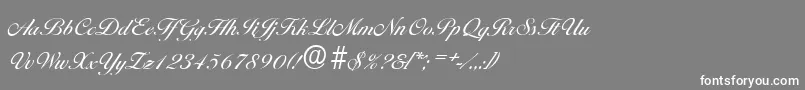 BallantinesserialRegular Font – White Fonts on Gray Background