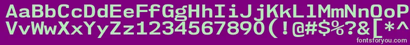 Nk57MonospaceSeBd Font – Green Fonts on Purple Background