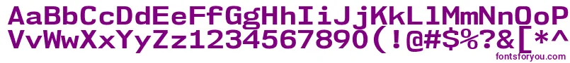 Nk57MonospaceSeBd Font – Purple Fonts