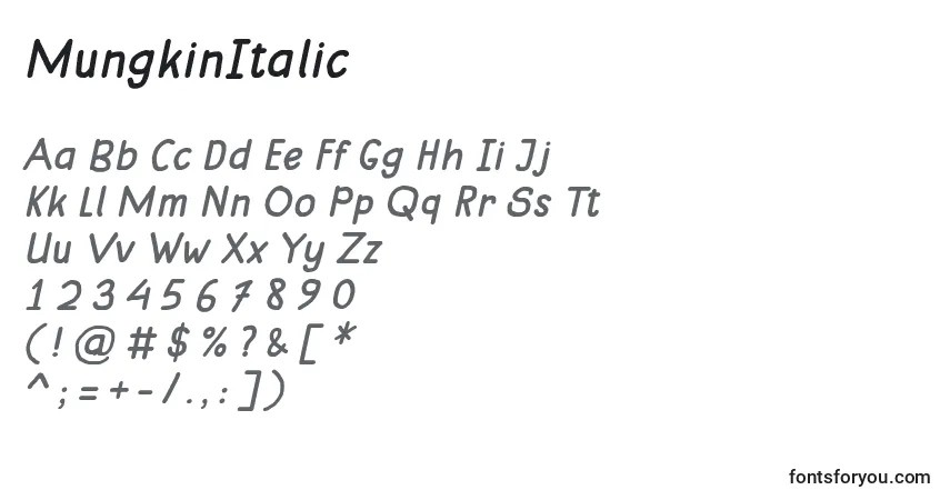 Schriftart MungkinItalic – Alphabet, Zahlen, spezielle Symbole
