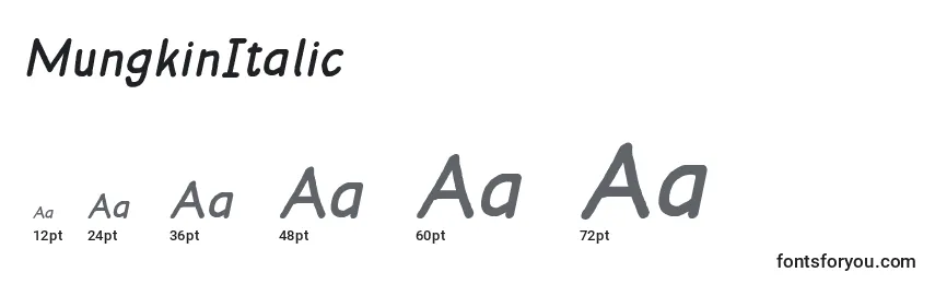 Размеры шрифта MungkinItalic