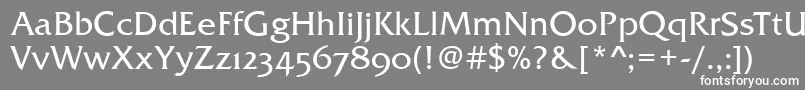 FremontOsfRegular Font – White Fonts on Gray Background