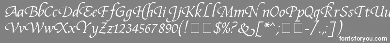 フォントFidelioMn – 灰色の背景に白い文字