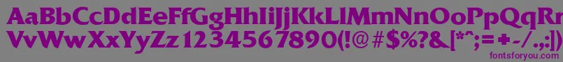 QuadratserialXboldRegular Font – Purple Fonts on Gray Background