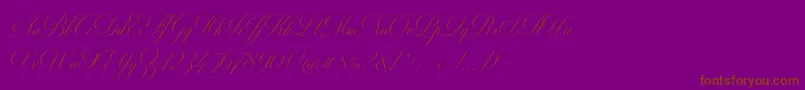 MiltonTwoBold Font – Brown Fonts on Purple Background