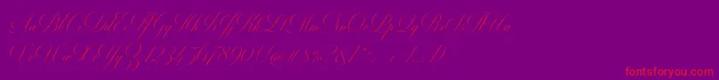 MiltonTwoBold-Schriftart – Rote Schriften auf violettem Hintergrund