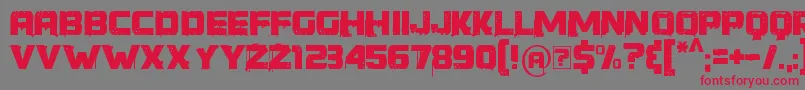 YoungerThanMe-Schriftart – Rote Schriften auf grauem Hintergrund