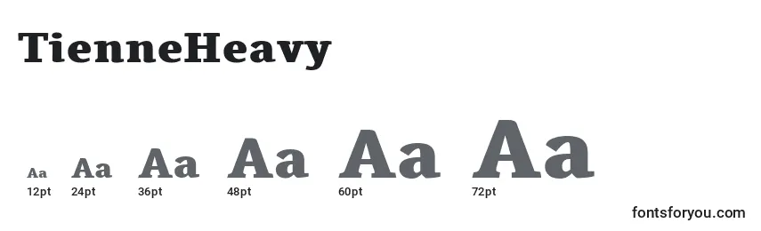 Размеры шрифта TienneHeavy