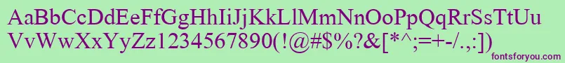 ErThirdRomanKoi8Normal Font – Purple Fonts on Green Background