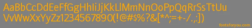 DoradanirgRegular Font – Orange Fonts on Gray Background
