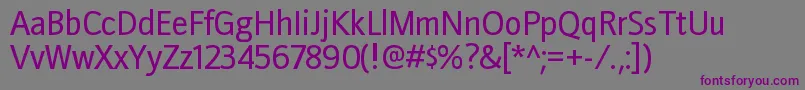 Шрифт DoradanirgRegular – фиолетовые шрифты на сером фоне