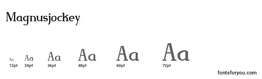 Magnusjockey Font Sizes