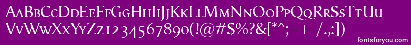 VegaAntikvaSmallcaps Font – White Fonts on Purple Background