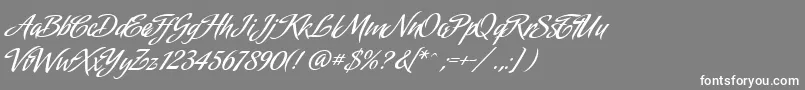 AmorindaAlternates Font – White Fonts on Gray Background