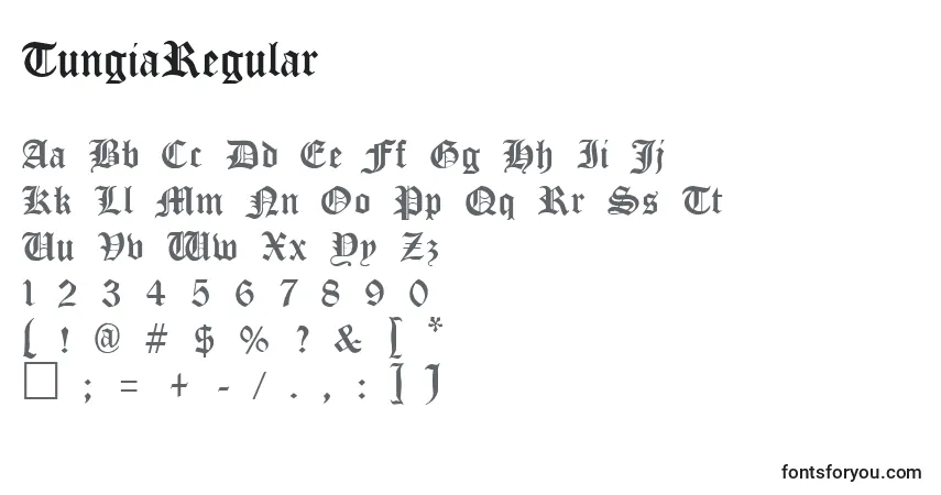Czcionka TungiaRegular – alfabet, cyfry, specjalne znaki