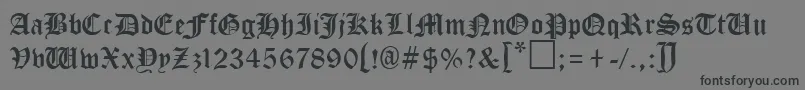 フォントTungiaRegular – 黒い文字の灰色の背景