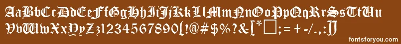 フォントTungiaRegular – 茶色の背景に白い文字