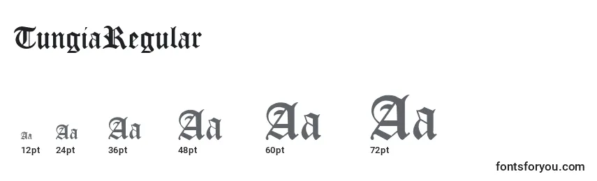 TungiaRegular Font Sizes