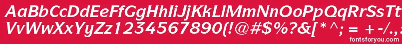 フォントItcsymbolstdBolditalic – 赤い背景に白い文字
