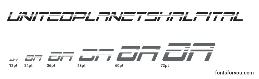 Unitedplanetshalfital Font Sizes
