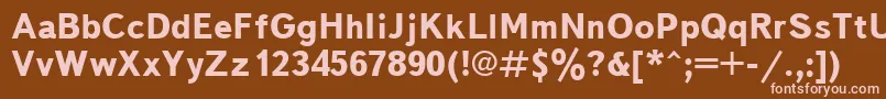 TextbookcttBold Font – Pink Fonts on Brown Background