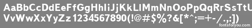 TextbookcttBold Font – White Fonts on Gray Background