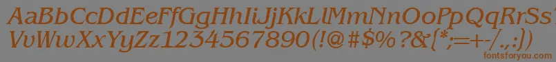 BenjaminserifRegularitalic Font – Brown Fonts on Gray Background