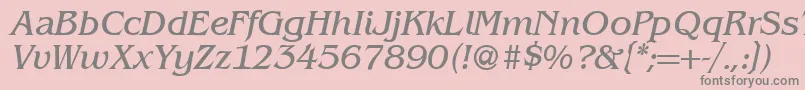 BenjaminserifRegularitalic Font – Gray Fonts on Pink Background