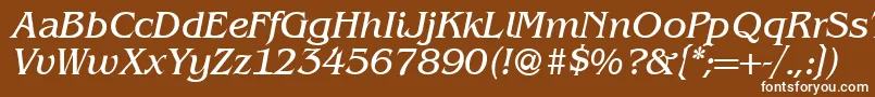 BenjaminserifRegularitalic Font – White Fonts on Brown Background