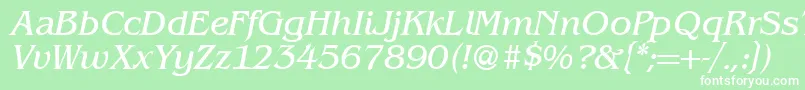 BenjaminserifRegularitalic Font – White Fonts on Green Background