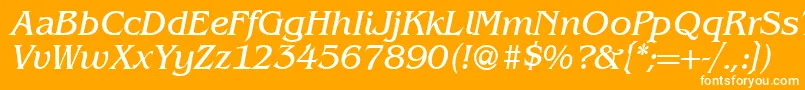 BenjaminserifRegularitalic Font – White Fonts on Orange Background