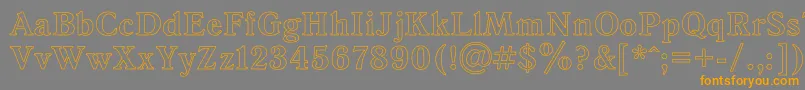 AntiquaHo Font – Orange Fonts on Gray Background