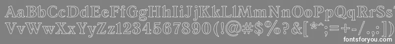 AntiquaHo Font – White Fonts on Gray Background