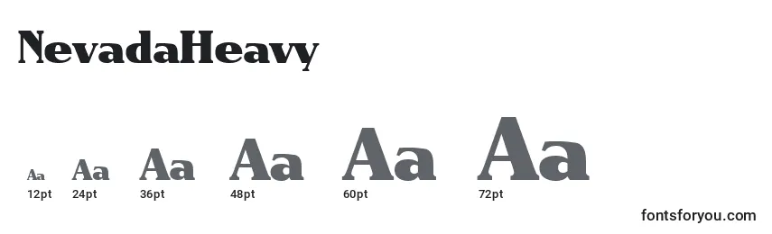 NevadaHeavy Font Sizes