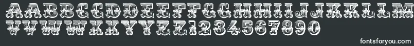 Dsromantiques Font – White Fonts