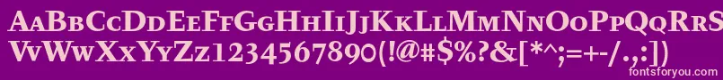 TyfatextcapsBold Font – Pink Fonts on Purple Background