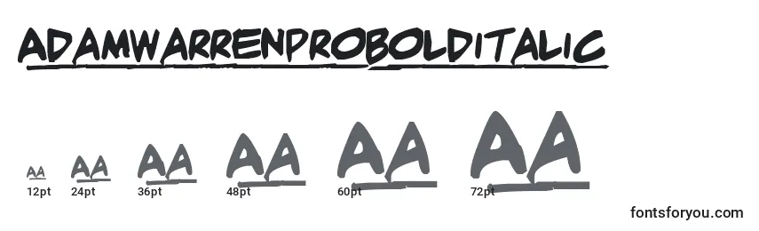 Размеры шрифта AdamwarrenproBolditalic