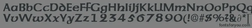 フォントAmericanuncialeDb – 黒い文字の灰色の背景